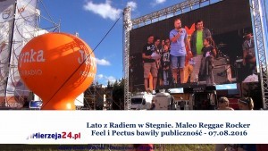 Lato z Radiem w Stegnie. Maleo Reggae Rocker  Feel i Pectus bawiły publiczność - 07.08.2016