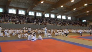 Pokaz umiejętności młodych wojowników. IX Otwarte Mistrzostwa Kyokushin Karate w Malborku - 03.06.2017