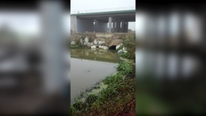 Pola na żuławach zmieniły się w jeziora. Rolnicy widzą problem w budowie trasy S7 – 07.11.2017