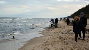 Stegna: Nie tylko plaża ale również koncerty i Żuławska Kolej Wąskotorowa. - 10.12.2017