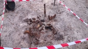 Przekop Mierzei Wiślanej. Saperzy przeszukują teren budowy.