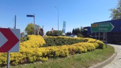 Uwaga na remonty na odcinku DW501 Stegna - Krynica Morska. Informacje wykonawcy Budimex S.A.