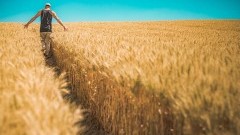 Rośnie suma średniego długu wśród rolników. Wzrost rdr. jest nawet dwucyfrowy [Dane z rejestrów długów]