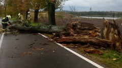 Usuwanie skutków porywistego wiatru – raport sztumskich służb mundurowych.