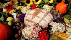Gmina Miłoradz zaprasza na święto plonów.