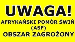 WAŻNE! Strefa zapowietrzona i zagrożona ASF w powiecie sztumskim.