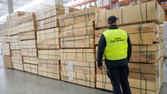 KAS zabezpieczyła sklejkę brzozową o wartości ponad 1 mln zł