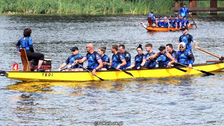 Malbork opanują smocze łodzie - w sobotę widowiskowe regaty na Nogacie.