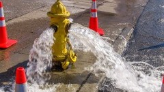 Uszkodzony hydrant, pożar skrzynki elektrycznej i roje pszczół - tygodniowy raport malborskich służb mundurowych.
