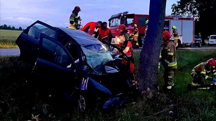 Wypadki, pożary i gniazda os – tygodniowy raport malborskich służb mundurowych.