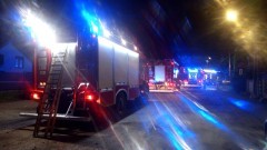 Pożary, owady błonkoskrzydłe i kolizja – tygodniowy raport malborskich służb mundurowych.