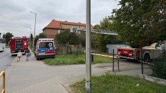 Dziecko na drzewie, próba samobójcza i wypadki drogowe – tygodniowy raport malborskich służb mundurowych.