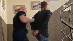 Włamał się do baru i ukradł ozdobną figurkę dzika – 22-latek zatrzymany przez nowodworskich policjantów.