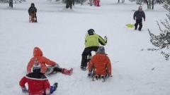 Ferie zimowe ruszają – policja przypomina o bezpieczeństwie.