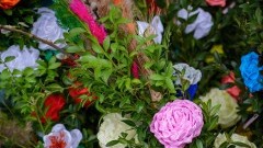 Weź udział w konkursie na Najładniejszą Palmę Wielkanocną w Gminie Malbork.