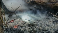 Pożary traw, śmieci i sadzy w przewodzie kominowym - tygodniowy raport malborskich służb mundurowych.