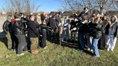 Posadzili swój dąb na zakończenie szkoły. Wyjątkowa pamiątka uczniów II LO w Malborku.
