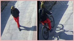 Kradzież roweru w Malborku. Policja publikuje wizerunek sprawcy i prosi o pomoc.
