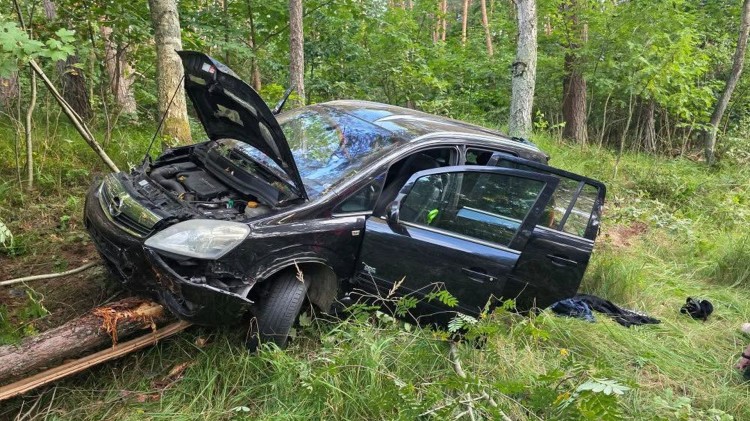 Trzy osoby ranne po uderzeniu auta w drzewo. Akcja służb w Sztutowie