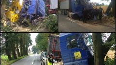Ciężarówka uderzyła w cztery drzewa na DW 515 w Dąbrówce Malborskiej. Weekendowy raport służb mundurowych powiatu sztumskiego – 11.07.2016