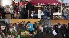 VI Jarmark Wielkanocny w Stegnie czyli palemki, pisanki i stroiki wielkanocne czas zacząć zbierać - 08.04.2017