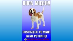 Dzierzgoń: Miejska akcja „Kupa mięci — Twój pies, Twój obowiązek - ETAP 2 - 16.06.2017
