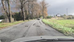 Gałęzie niczym pociski, tylko czekasz aż coś cię trafi. Co myślicie&#8230;