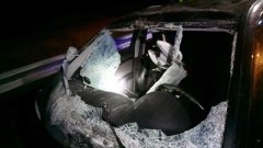 Kiezmark: Zderzenie pięciu aut na krajowej 7. Łosie śmiertelnym zagrożeniem.
