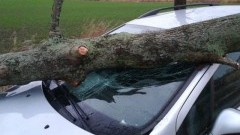 Stanisławowo: Drzewo uszkodziło auto. Niebezpieczne skutki wichury.