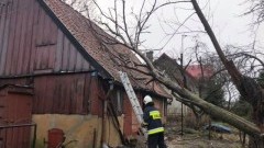 Dworek: Połamane drzewo spadło na dom. Kolejne skutki wichury.