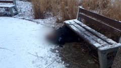 Malbork. Śmierć w parku na Osiedlu Południe. Sekcja zwłok wyjaśni&#8230;