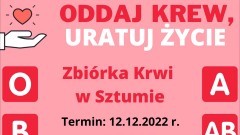 Sztum. Oddaj krew, uratuj życie – w poniedziałek przyjedzie krwiobus.