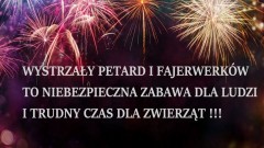 Wystrzały petard i fajerwerków - niebezpieczna zabawa dla ludzi i trudny czas dla zwierząt.