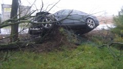 Kierowca Audi stracił panowanie nad pojazdem i uderzył w drzewo. Weekendowy raport służb mundurowych – 19.10.2015 