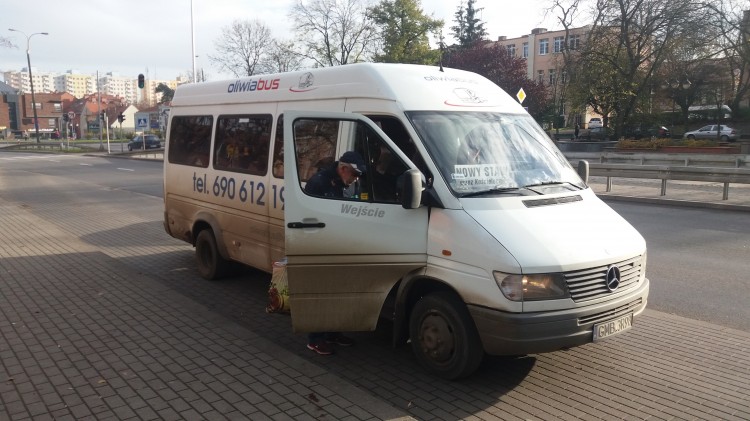 Czy Oliwiabus zawiesza połączenia Malbork – Dzierzgoń? Dzwonią do…