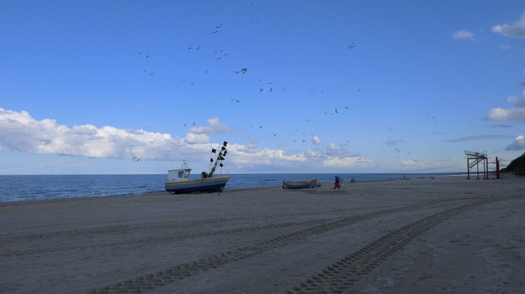 Plaża w Stegnie już po refulacji. Zobacz, jak teraz wygląda.