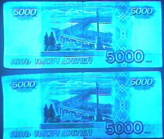Rosjanin z falsyfikatami banknotów zatrzymany na granicy
