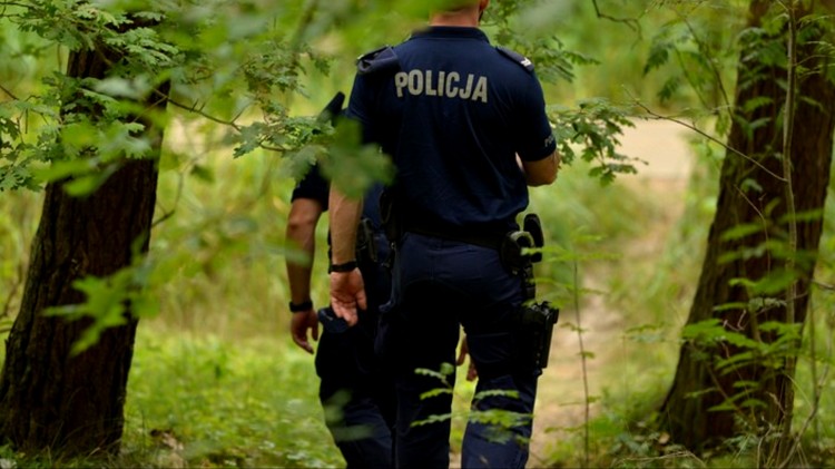 Wybierasz się na grzyby? Policja ostrzega i apeluje o rozsądek.