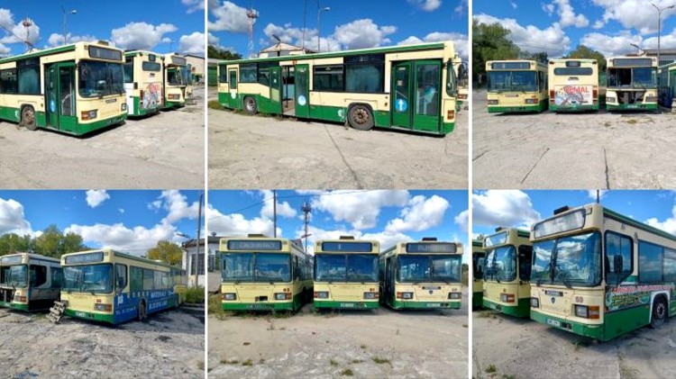 Malbork. MZK sprzedaje autobusy. 