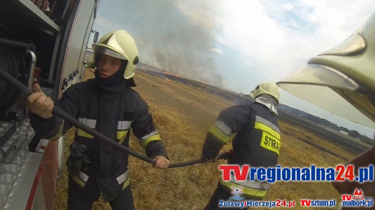 11 ZASTĘPÓW WALCZYŁO Z POŻAREM BALOTÓW I RŻYSKA W BUCZNIKU – 16.08.2015