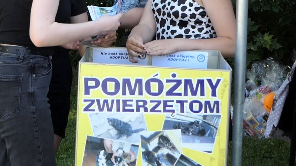 Malbork. Piknik rodzinny Akademii Nauczania dla REKS-a.