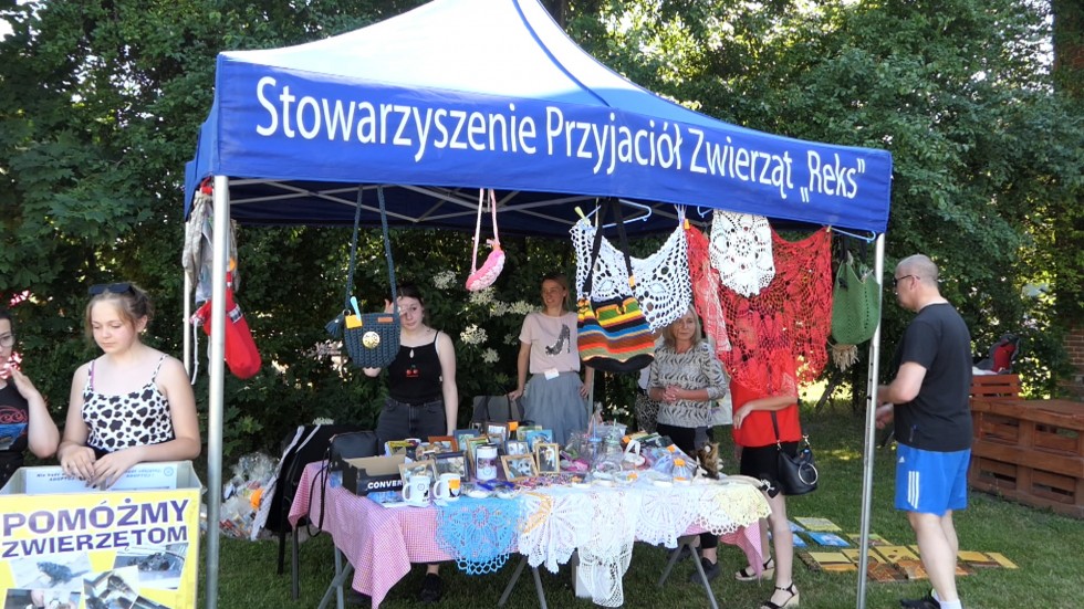 Malbork. Piknik rodzinny Akademii Nauczania dla REKS-a.