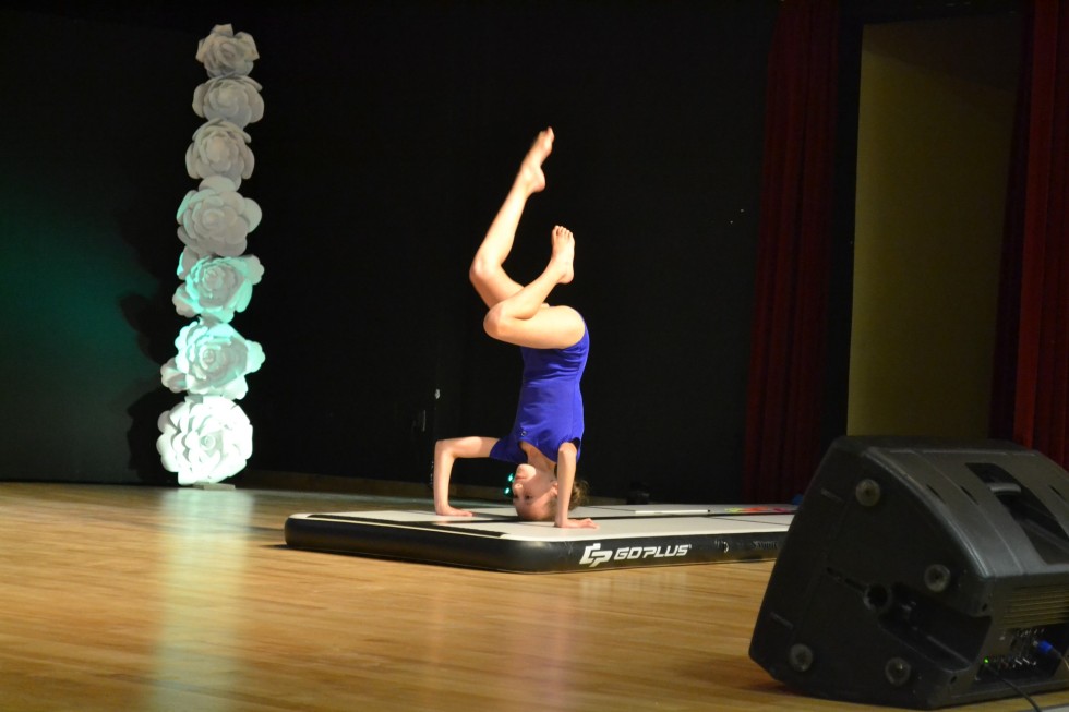Stare Pole. Oliwier Dziki zwycięzcą I Festiwalu Talentów i Pasji na Żuławach. Zdjęcia