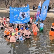 Pierwszy zlot morsów w Malborku. Wydarzenie pod nazwą ?Rycerska przygoda…
