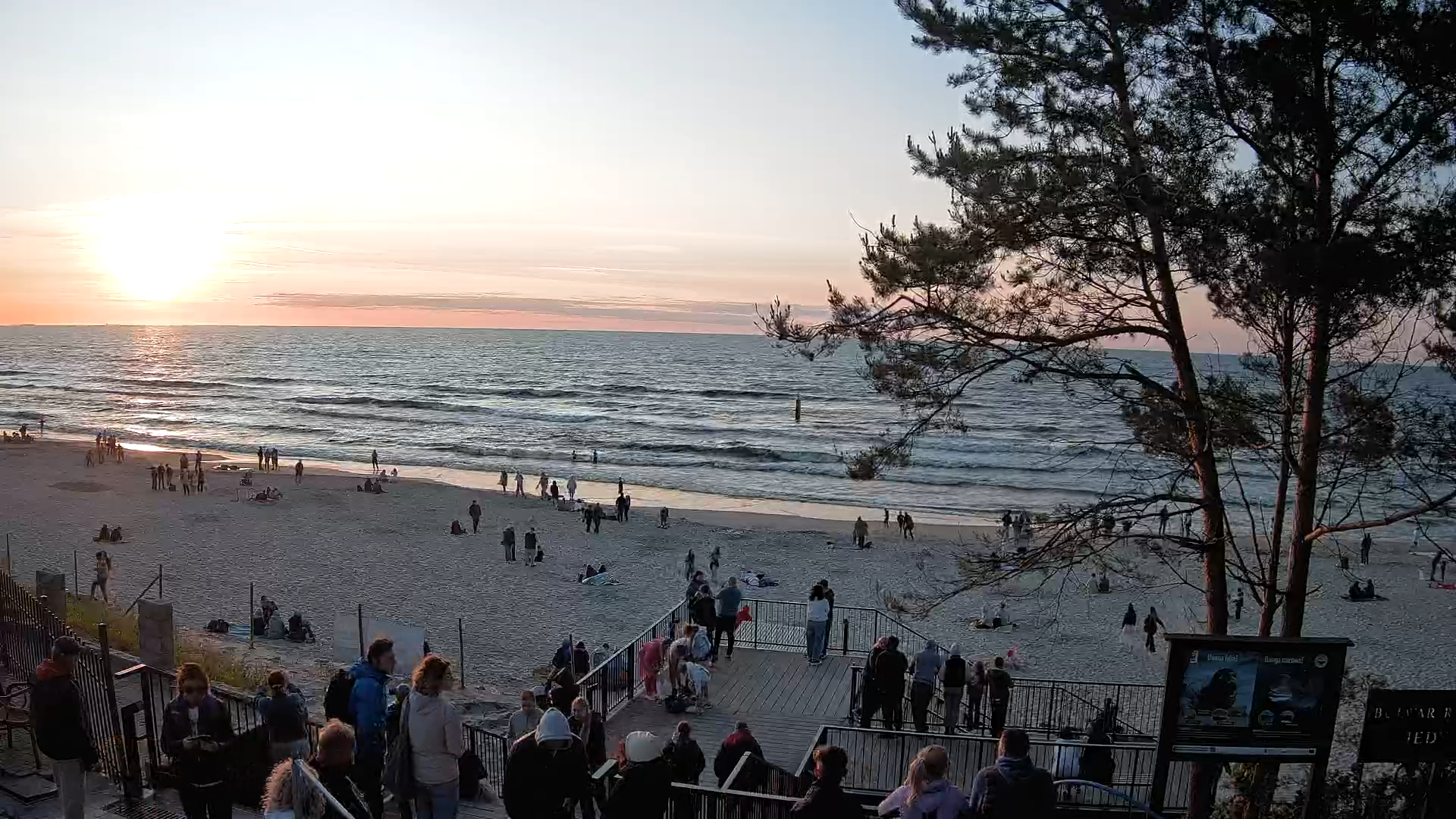 Stegna plaża - zejście nr 68 na żywo
