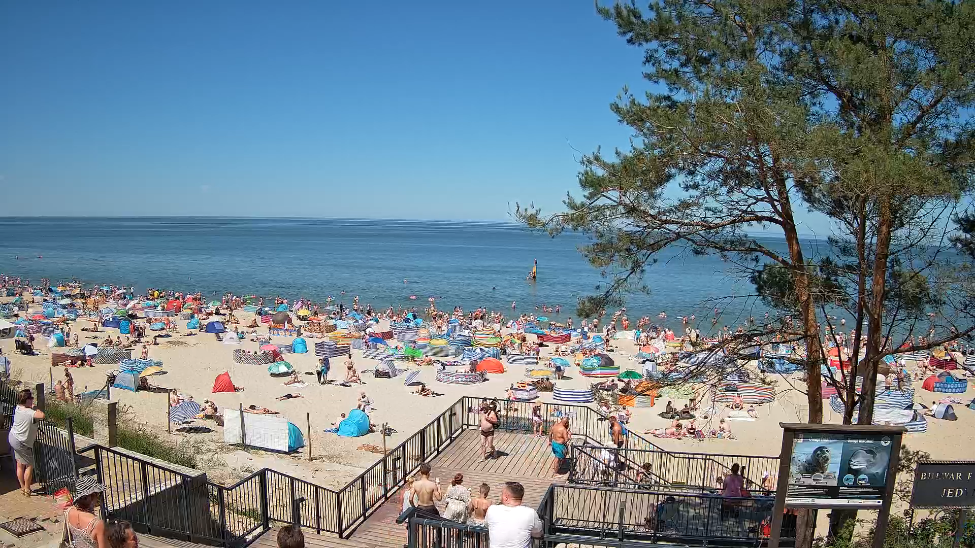 Stegna plaża - zejście nr 68 na żywo