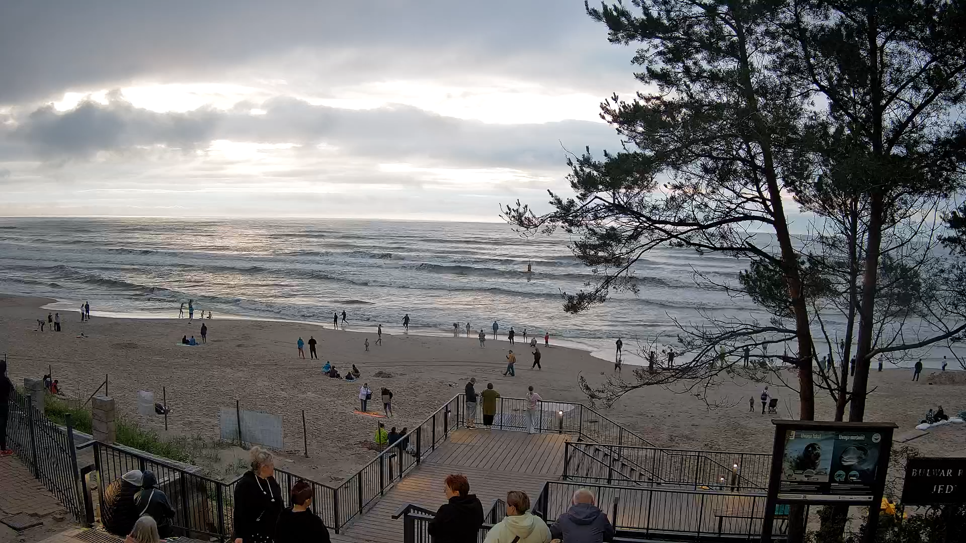 Stegna plaża - zejście nr 68 na żywo