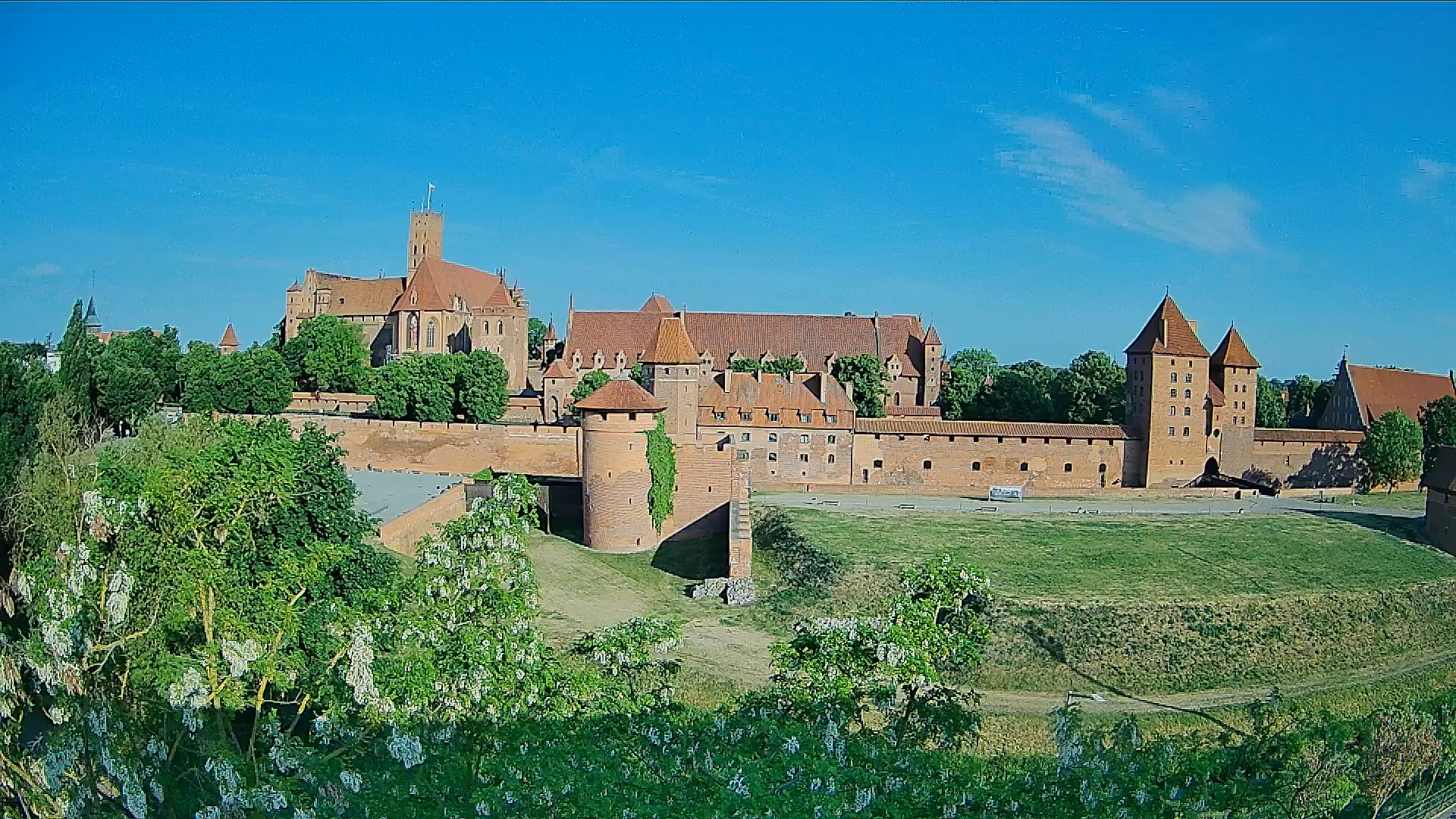 Zamek w Malborku na żywo. Malborska Madonna. 